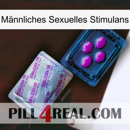 Männliches Sexuelles Stimulans 37